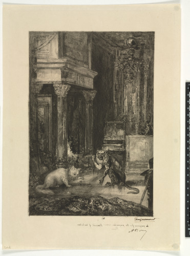 Monkey and Cat Playing a Game Before the Hearth