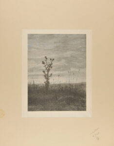 Landscape with Thistle and Weeds