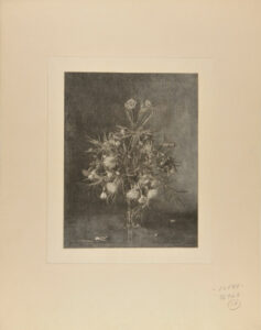 Vase of Red and White Carnations