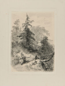 Les deux faisans dans un forêt