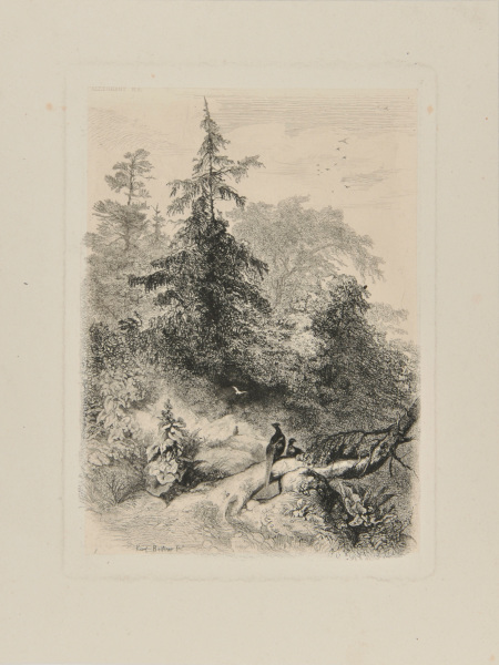 TWO PHEASANTS IN THE FOREST