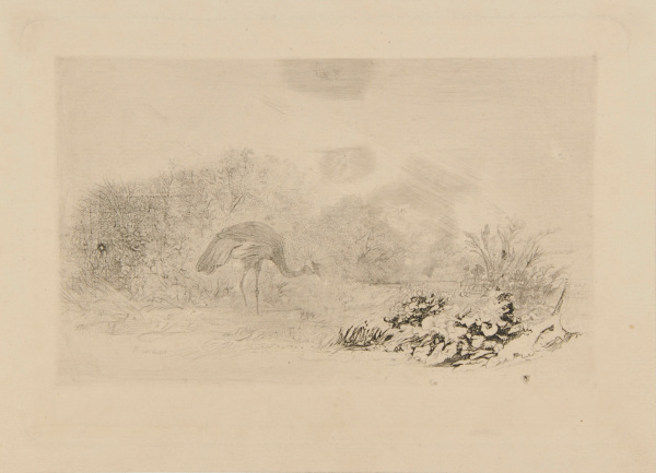 Heron à l’Aigrette