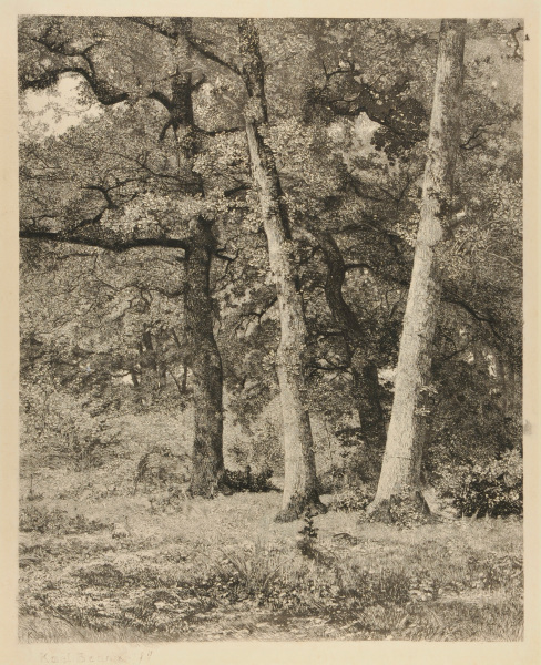 FOREST WITH THREE TREES