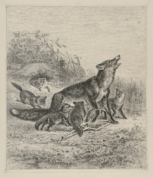 ANGUISH AND INSOUCIANCE (FOXES)