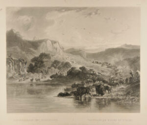 Herds of Bisons and Elks on the upper Missouri