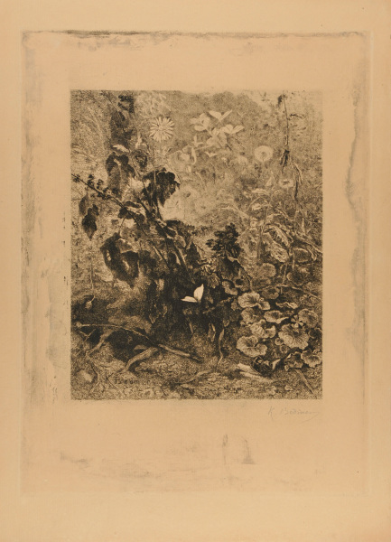 FLOWERING PLANTS WITH BUTTERFLIES AND SNAIL