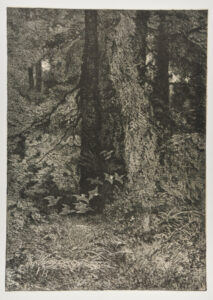 Birds in Flight in Forest