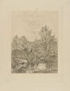 Three Deer in Forest by a Pool