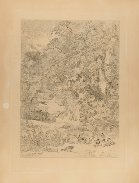 DUCKS BY A POND AT THE ENTRANCE TO A FOREST