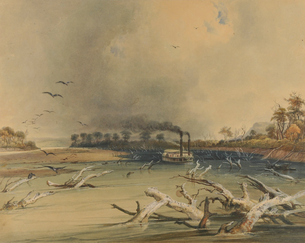 SNAGS (SUNKEN TREES) ON THE MISSOURI