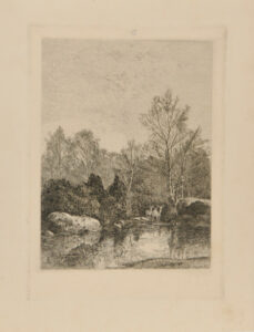 Three deer in the forest by a pool