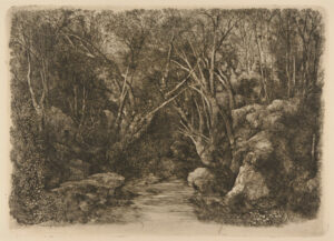 The Stream in the Woods