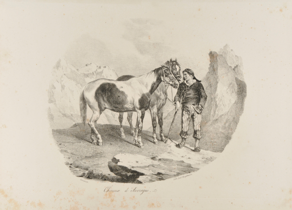 Chevaux d’ Auvergne