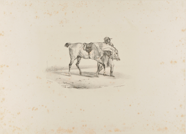 A HORSE BEING WALKED BEFORE THE RACE