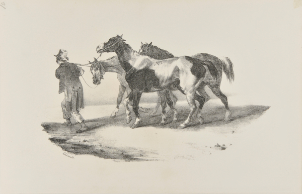 Trois chevaux consuits à l’écorcheur