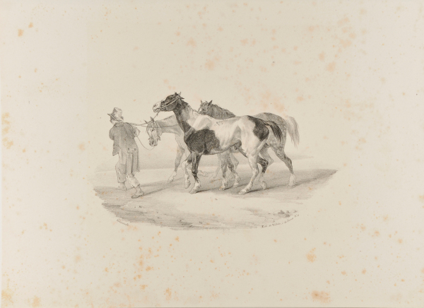 Trois chevaux conduits à l’écorcheur