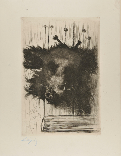 HEAD OF A BOAR, NAILED TO A DOOR