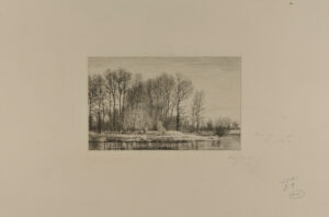 Landscape with trees and pond in winter