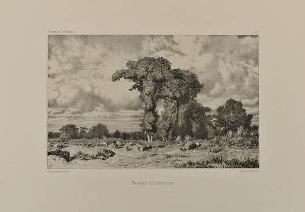 PASTURES OF LIMOUSIN