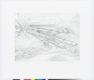 Plate 3 from the portfolio “Landscape Allegories”