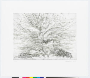 Plate 6 from the portfolio “Landscape Allegories”