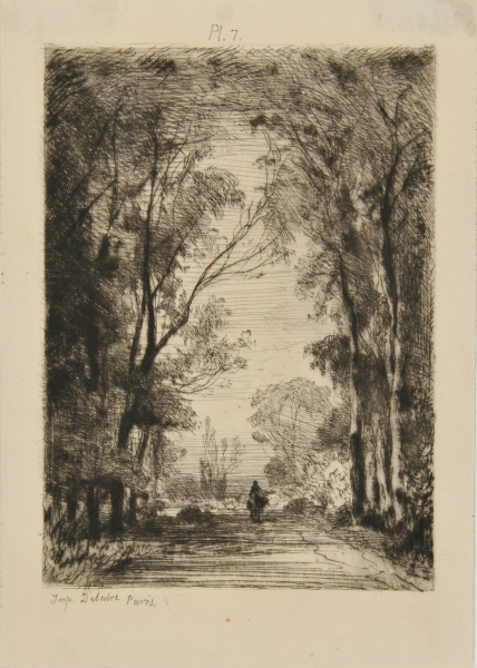 TRAVELER ON A ROAD IN A FOREST