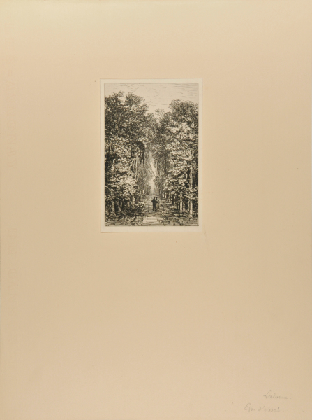 THE ABDUCTION OF CAMILLE