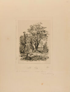 Dans mon jardin à Bordeaux