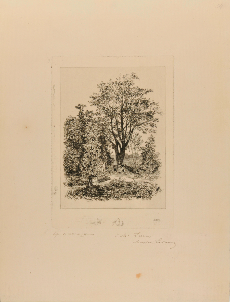 IN MY GARDEN AT BORDEAUX