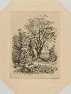 Dans mon jardin à Bordeaux