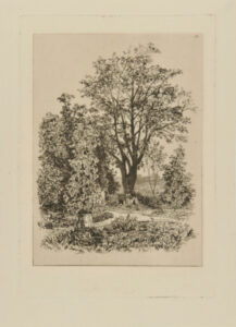 Dans mon jardin à Bordeaux