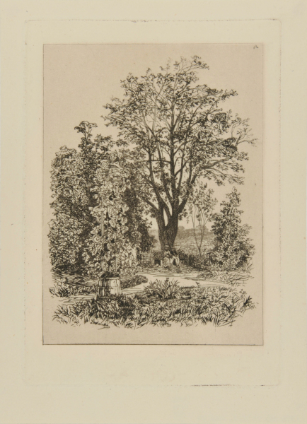 IN MY GARDEN AT BORDEAUX