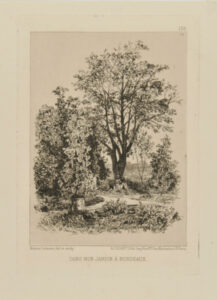 Dans mon jardin à Bordeaux