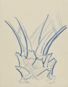 Crownshaft of a Palm Tree