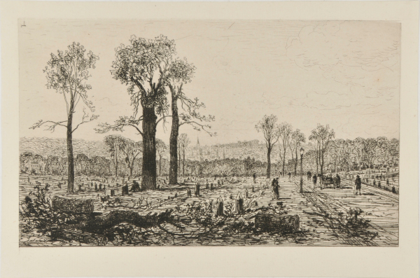 Avenue de Boulogne