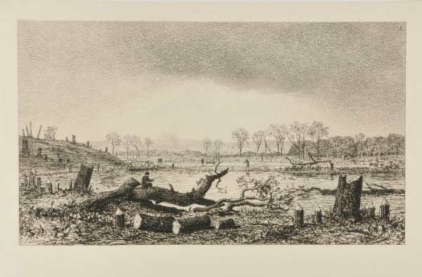 CURRENT STATE OF THE POND AT AUTEUIL