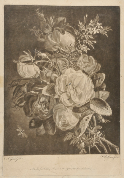 A Bouquet of Flowers with Ants and a Wasp - Image 2