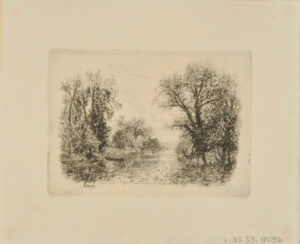 Rivière bordée d’arbres