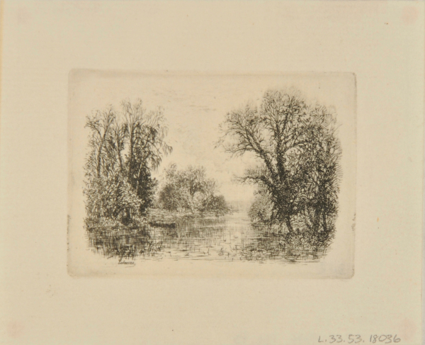 Rivière bordée d’arbres
