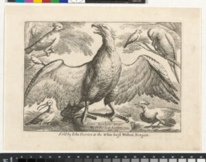 An Eagle with Outstreched Wings