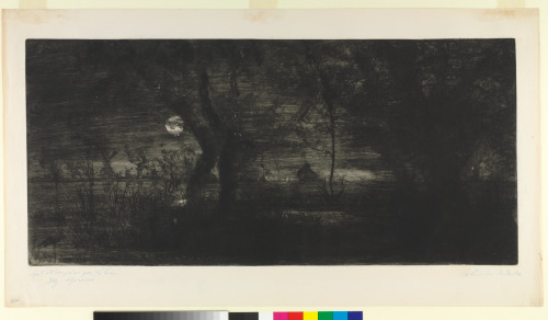 THE MOON THROUGH THE WILLOWS