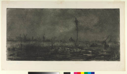 From the series “Views from the Banks of the Scheldt” - Image 1