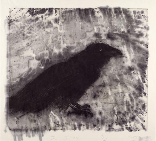 Raven on Lebanese Border - Image 1