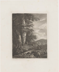 Hunter Shooting a Deer