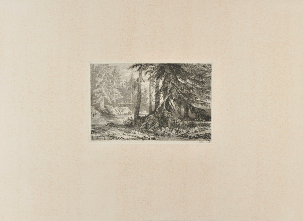 Small Landscape with Fir Trees - Image 2