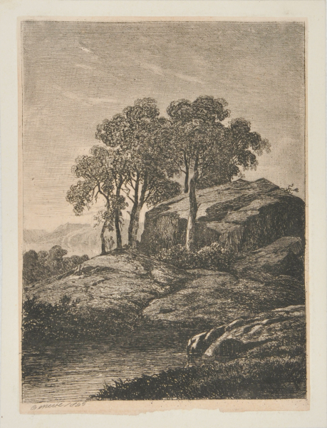 Trees and Rocks - Image 2
