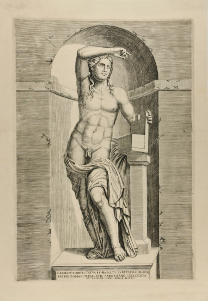 Hermaphroditi. Statva. ex. Basalte…