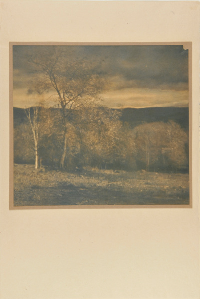 LANDSCAPE IN TWO COLORS