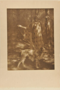 Blotches of Sunlight and Spots of Ink