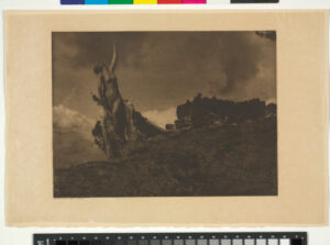 Soul of the Blasted Pine